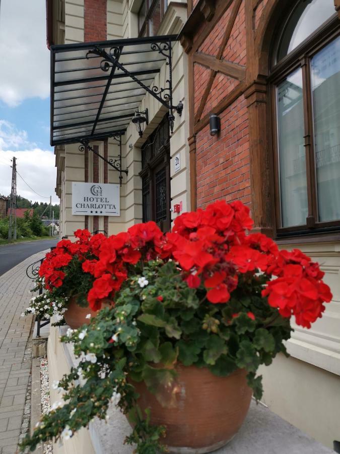 Hotel Charlotta Jedlina-Zdroj Exterior photo